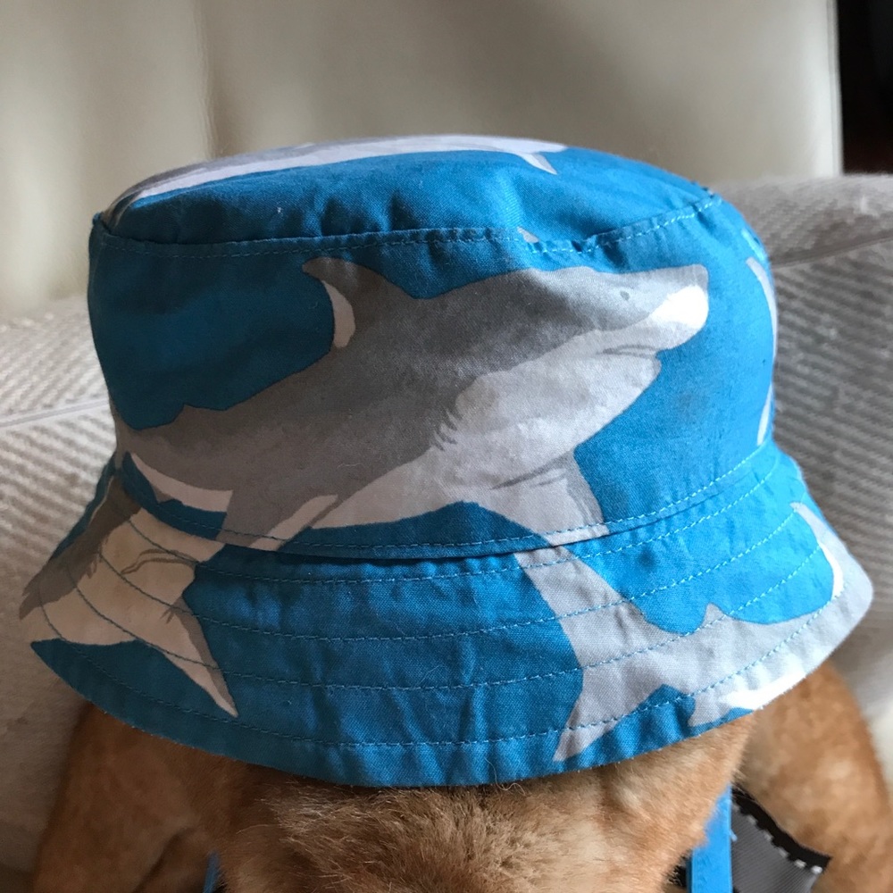 Like new janie and jack shark toddler hat